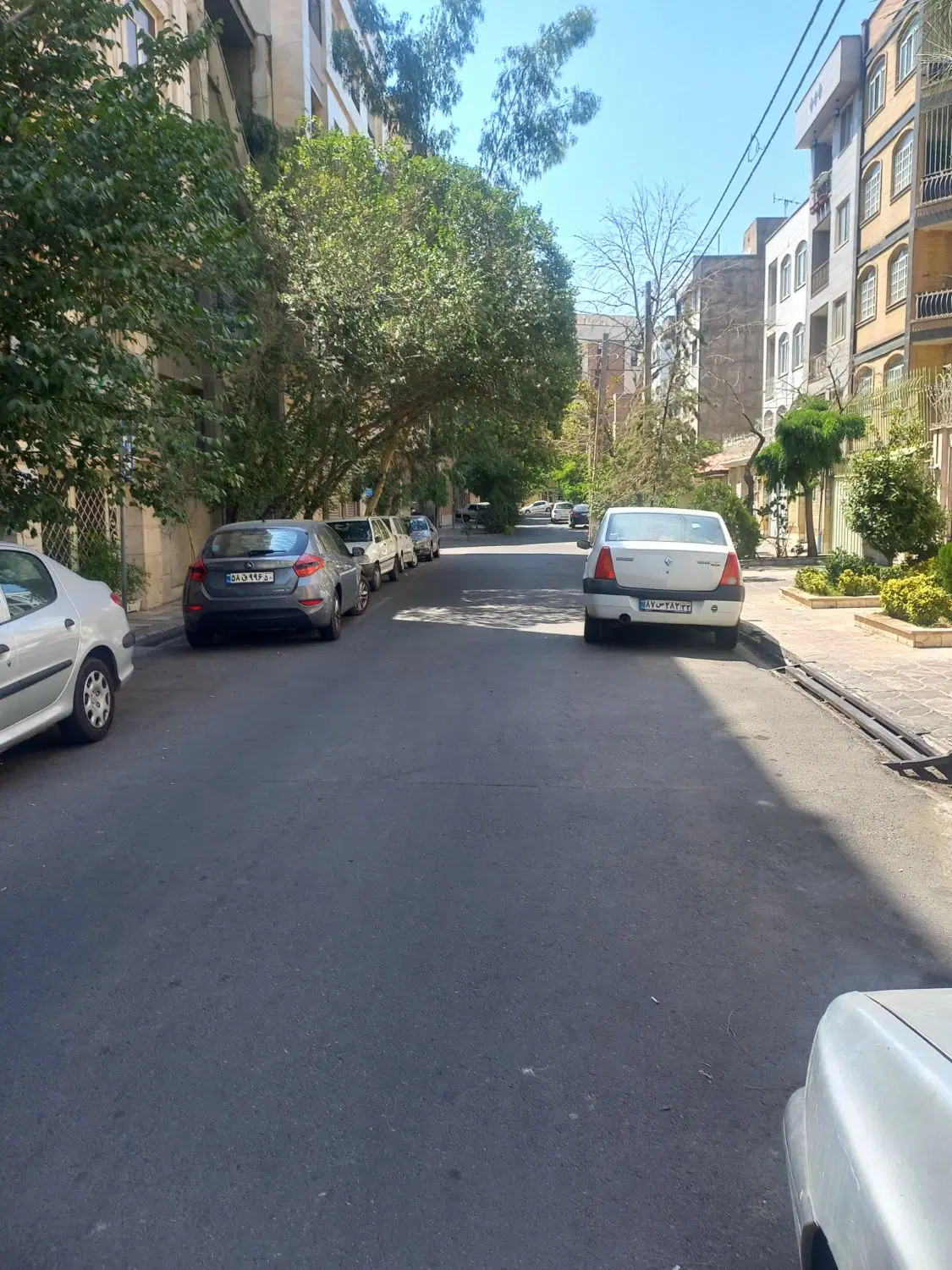 ۱۷۵ متر کلنگی هخامنش