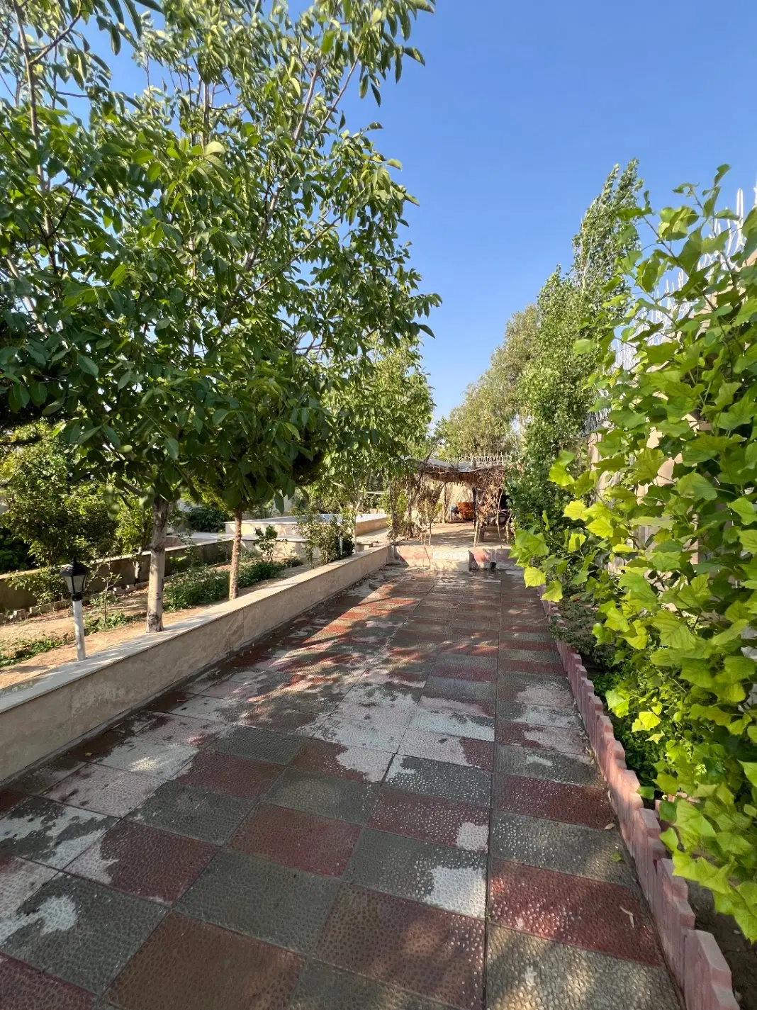 باغچه فرارت قیمت کاسبی
