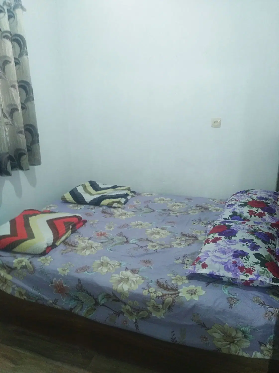سوییت گرگان