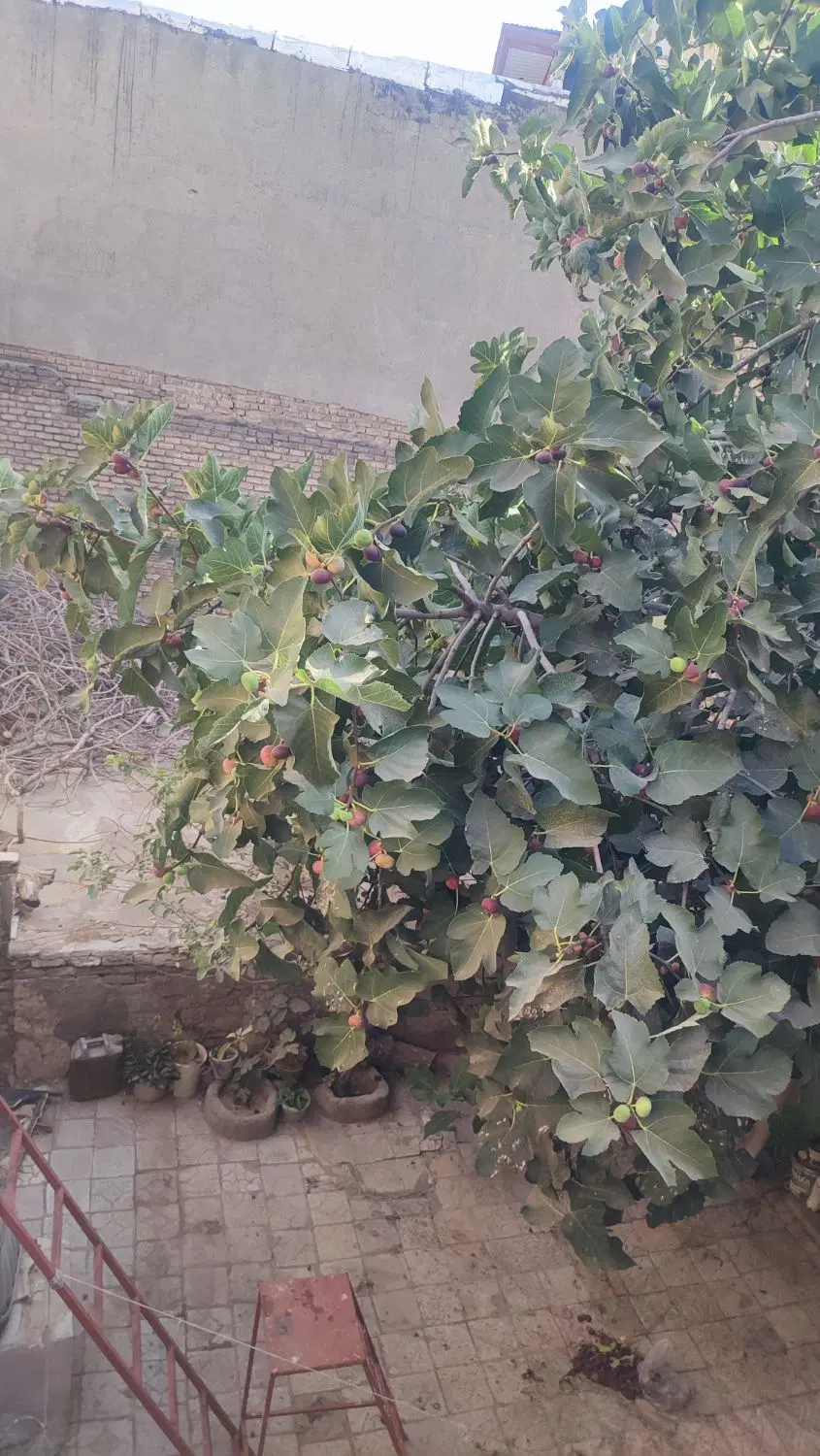 منزل ویلایی
