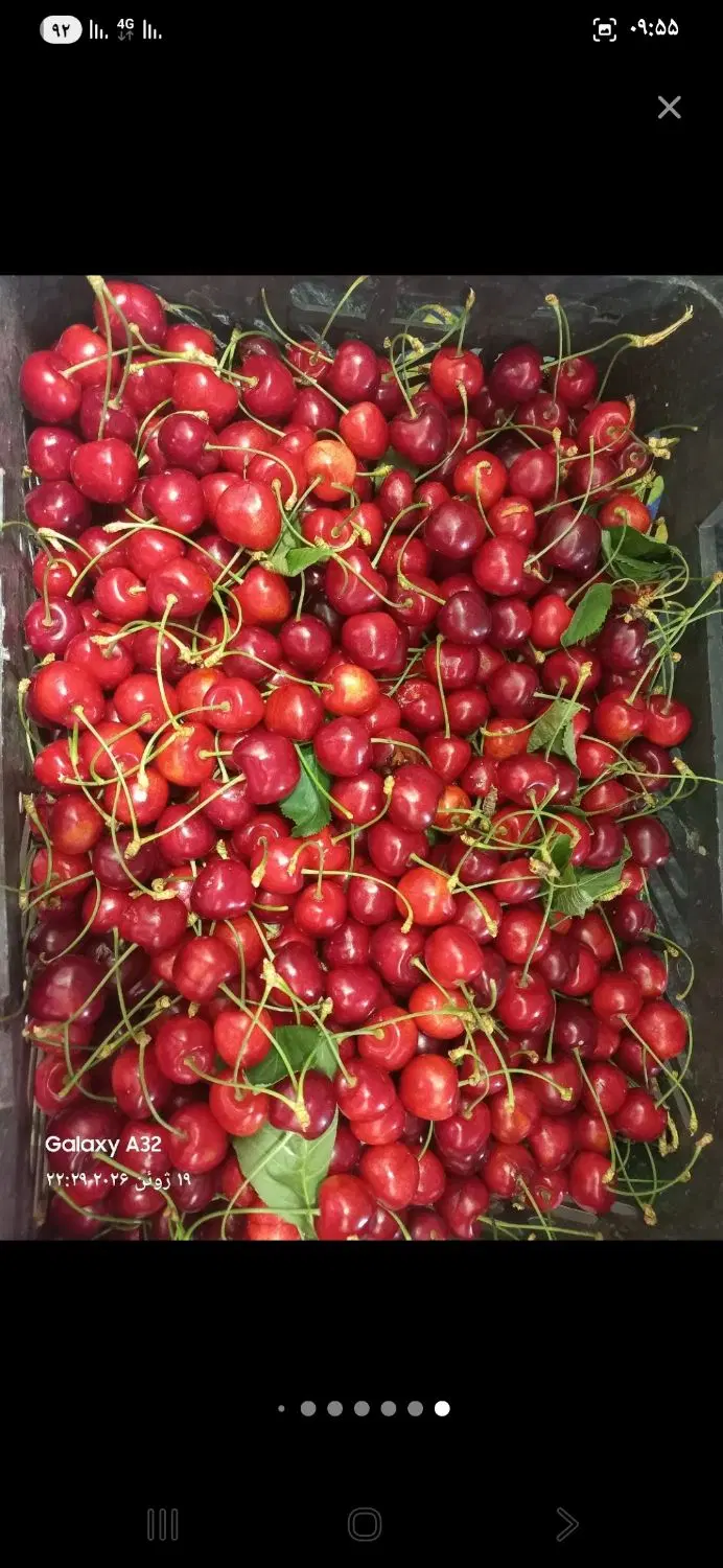 زمین وباغ چشمه شخصی