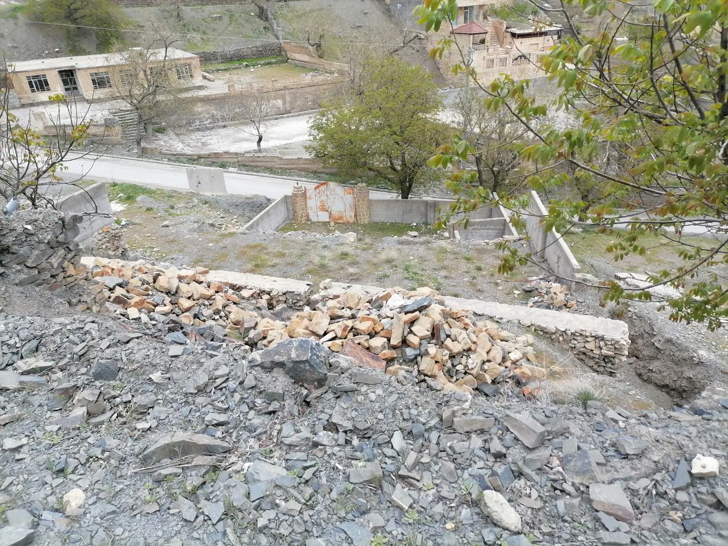 زمین با پروانه در زشک