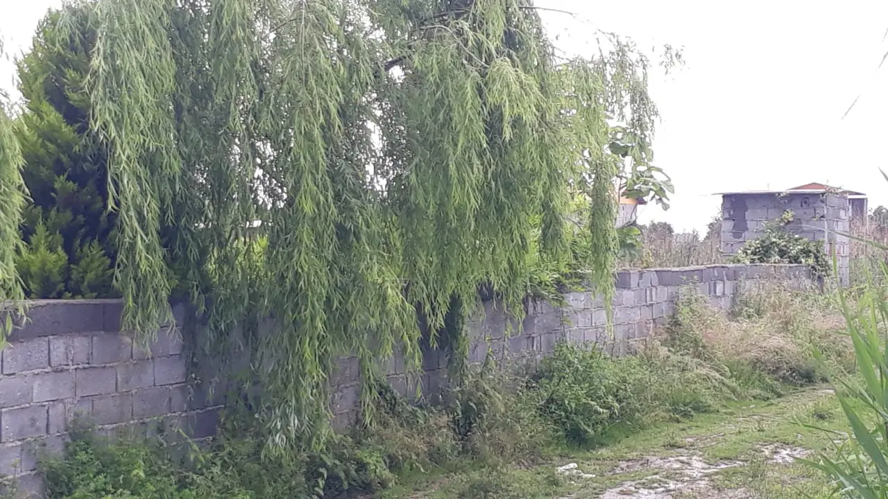 زمین بااسنادقانونی وسند محضری