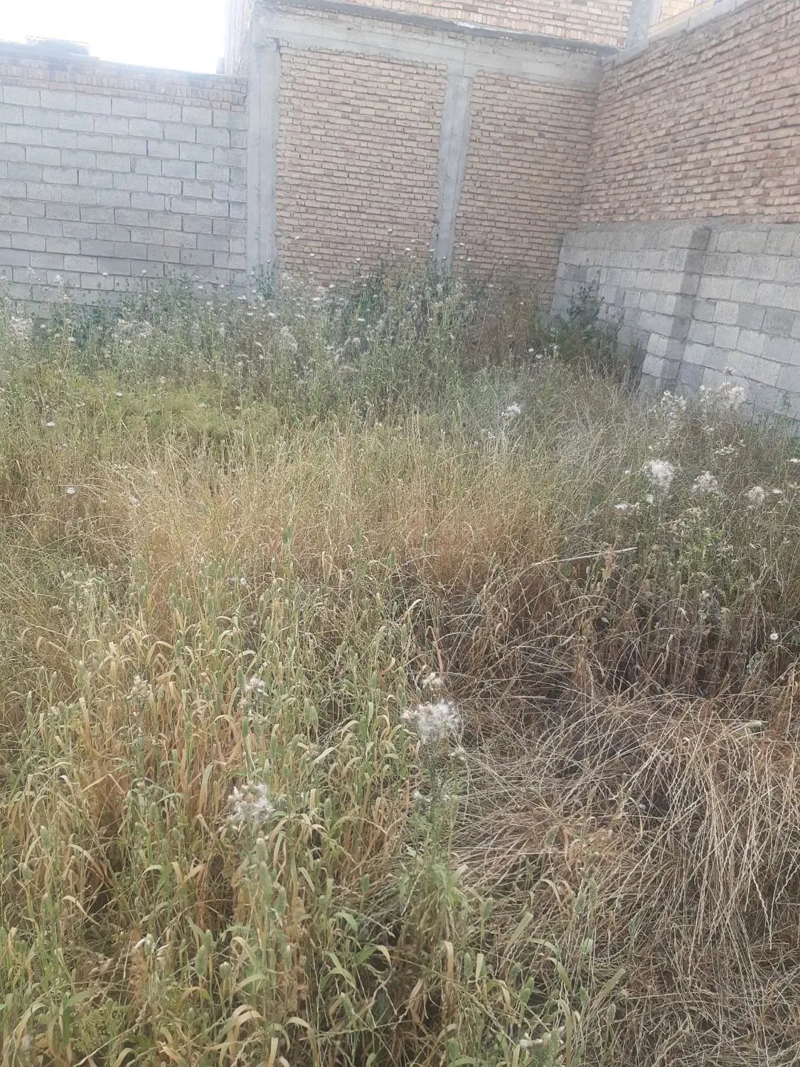 یک قطعه زمین به متراژ ۱۰۰متر اجیرلو ۲بفروش می رسد