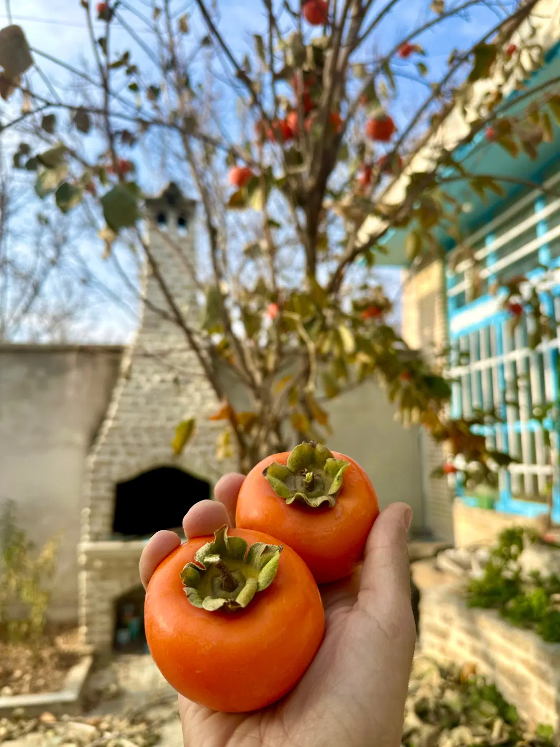 باغچه ویلا دنج و خاص ۱ ساعتی اصفهان