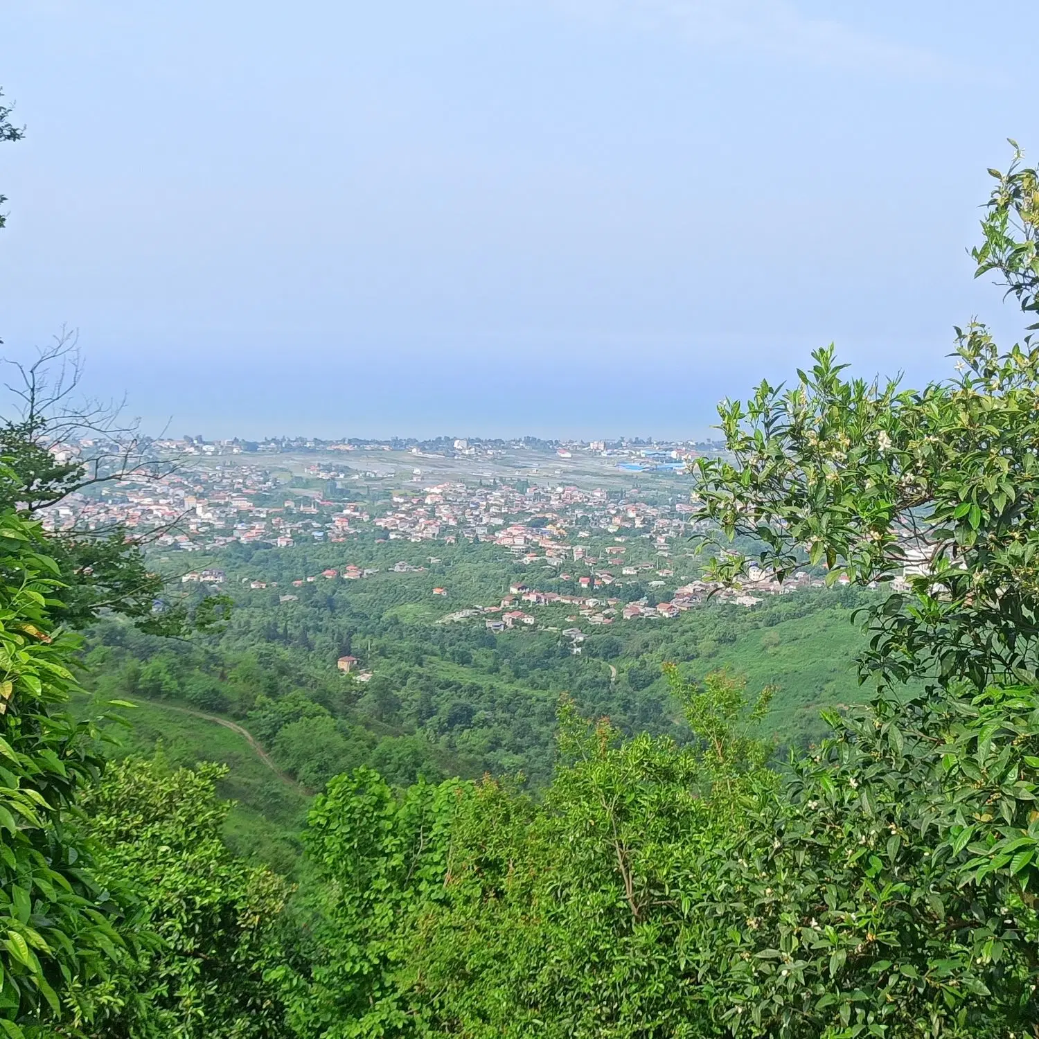 فروش کلبه هیرکانی رامسر