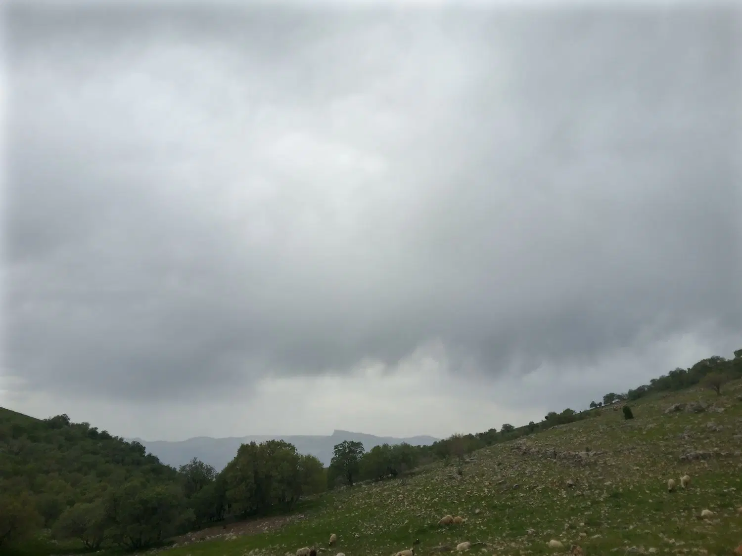 با۱سلام‌‌فروش‌زمین‌تنگ‌علی‌امید۱۳‌