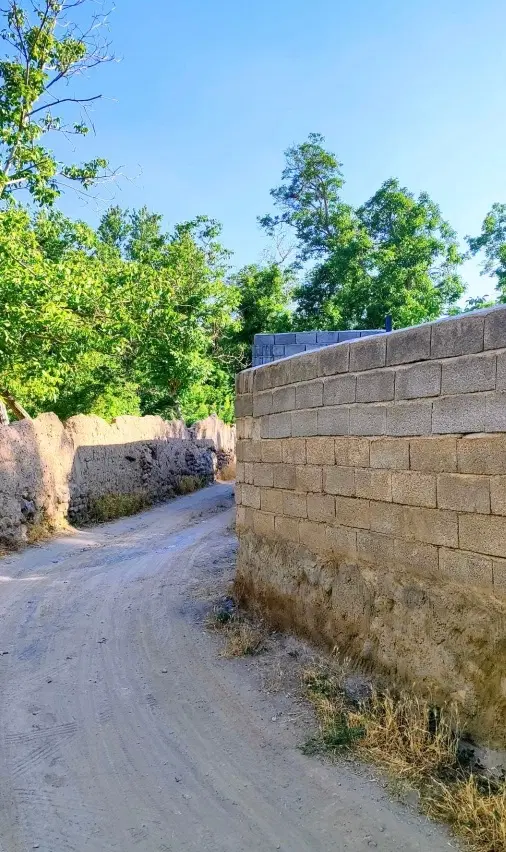 باغ در اسکو