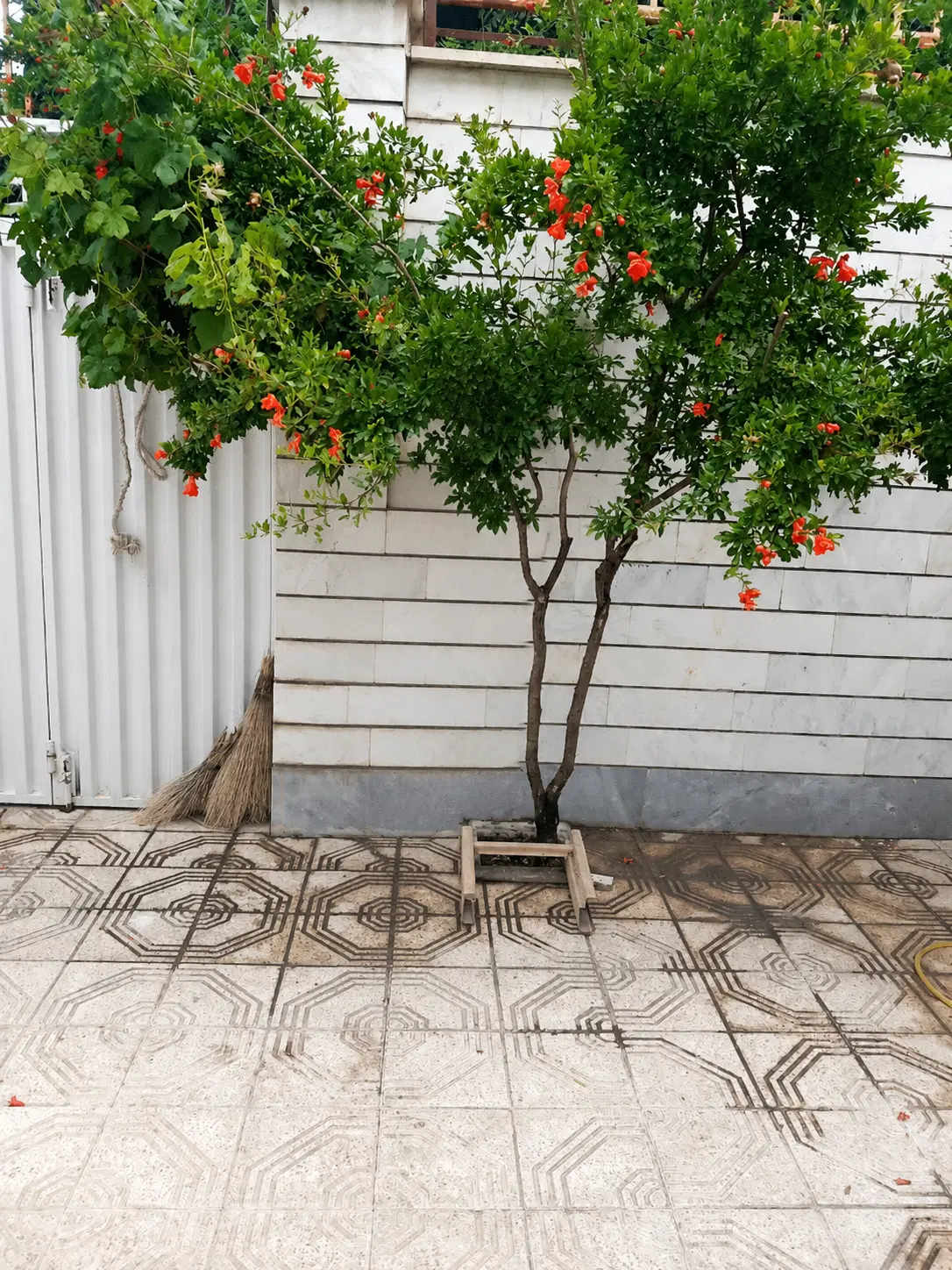 رهن و اجاره آپارتمان کوثر