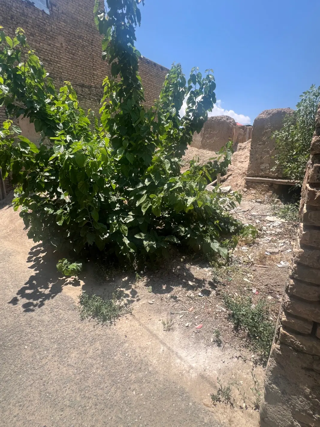 زمین مسکونی جیلارد