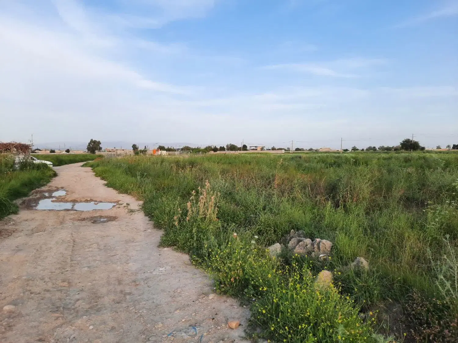 زمین باغی 1000متری
