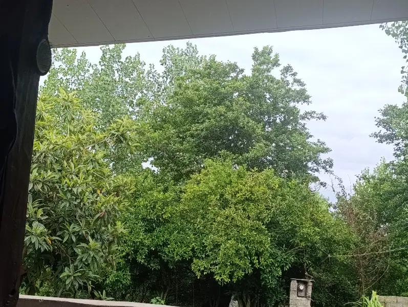 شفت صیقلان زمین مسکونی خانه قدیمی