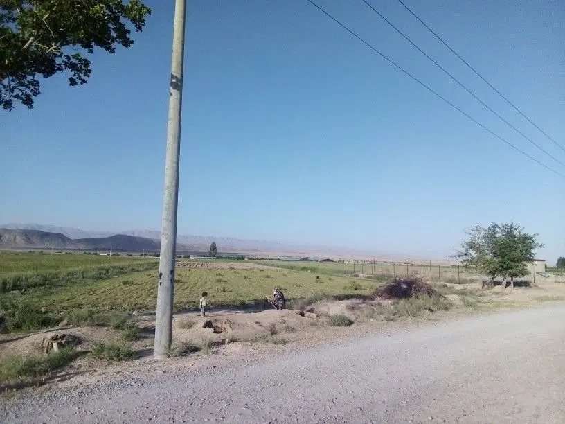 زمین سند شش دانگ تک برگ سبز به فروش میرسد