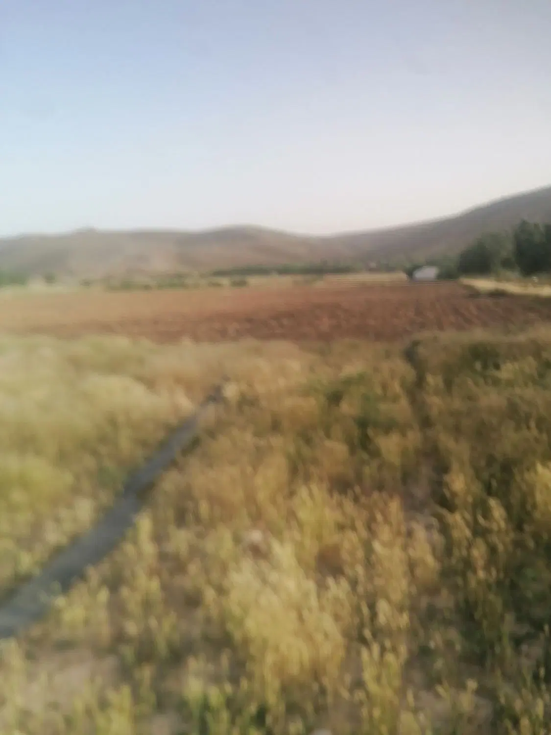 فروش زمین ابتدای فاز2 صدرا زون 4