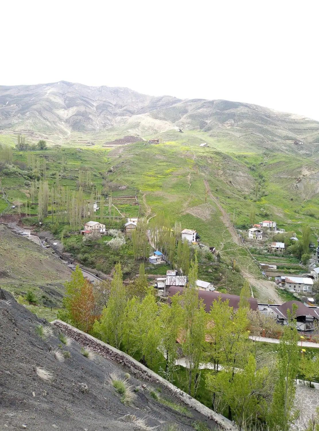 زمین کشاورزی شمشک