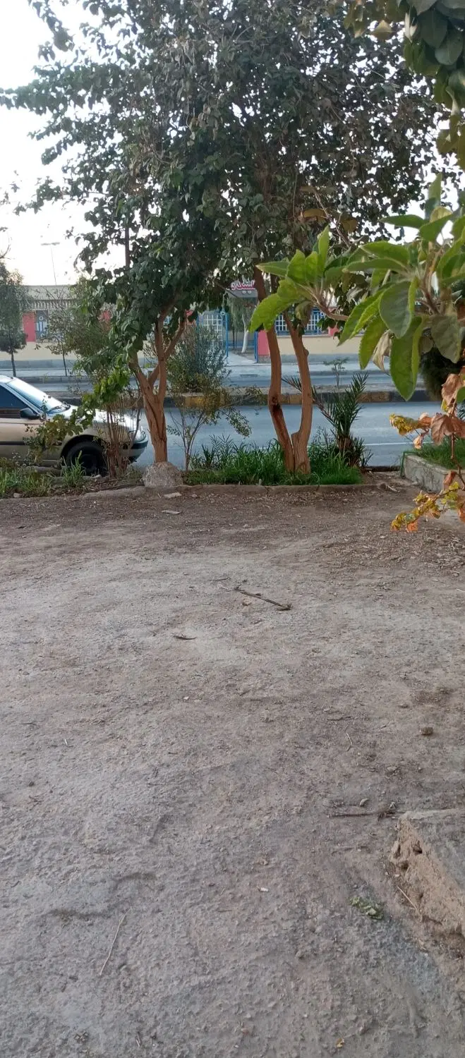 مغازه تجاری  زیباشهر
