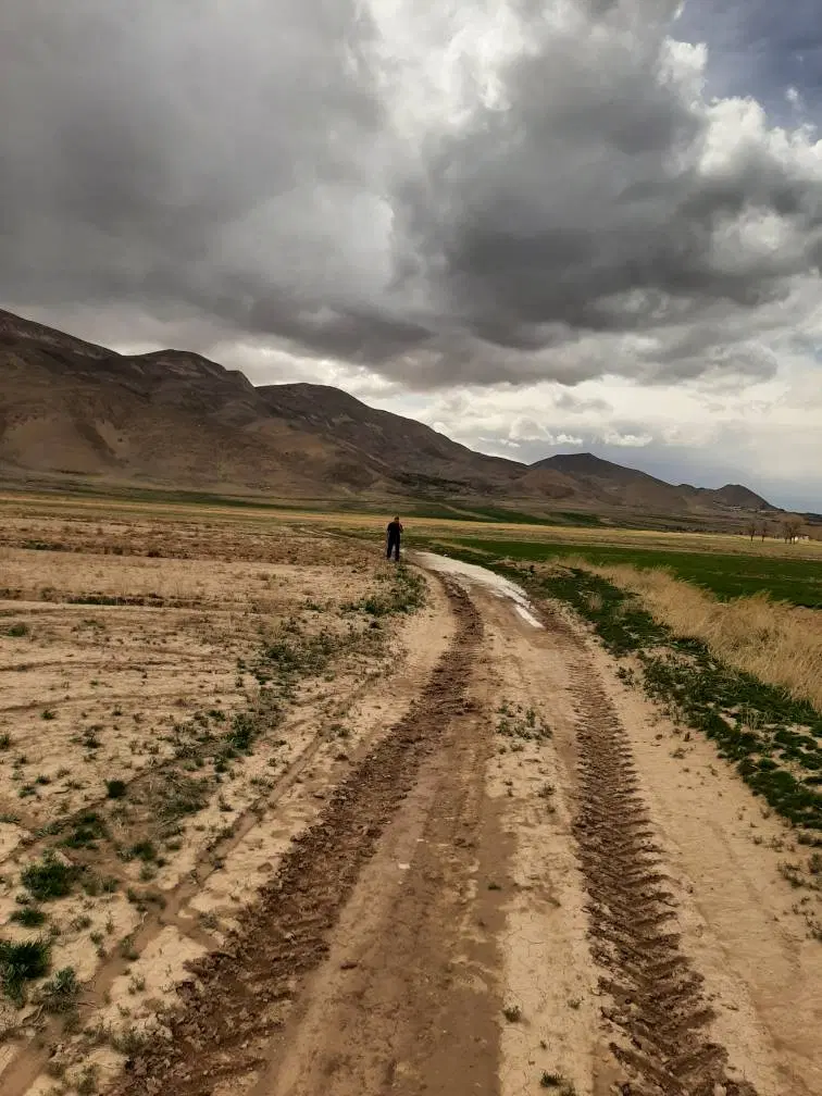 زمین کشاورزی دیم