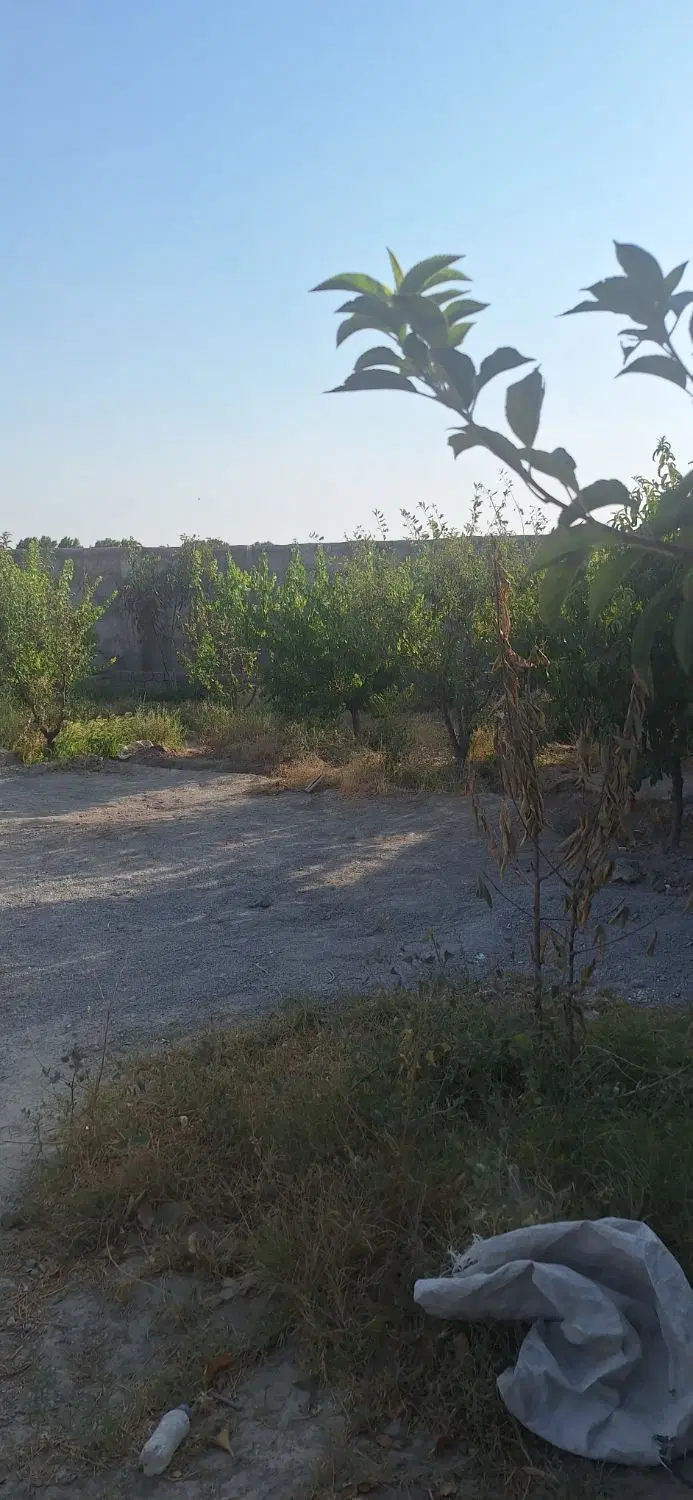 ۳۰۰ متر باغچه سند تک برگ
