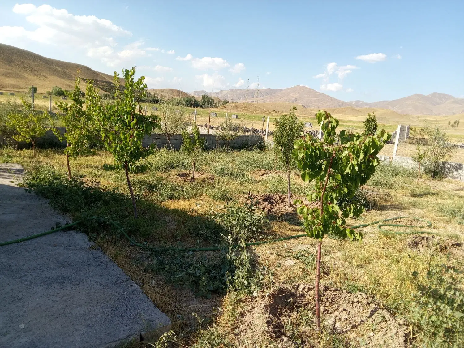 باغ در اسپران