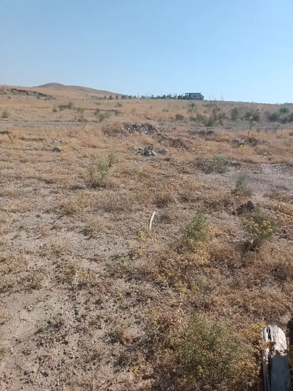 زمین کشاورزی دیمی الوارعلیا