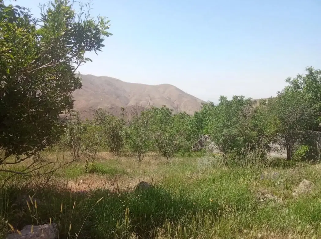 فروش زمین