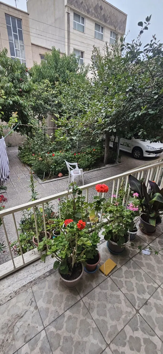 میدان ورزش کوچه آرتاویل ویلایی کلنگی ۲۴۰متر بَر۱۰