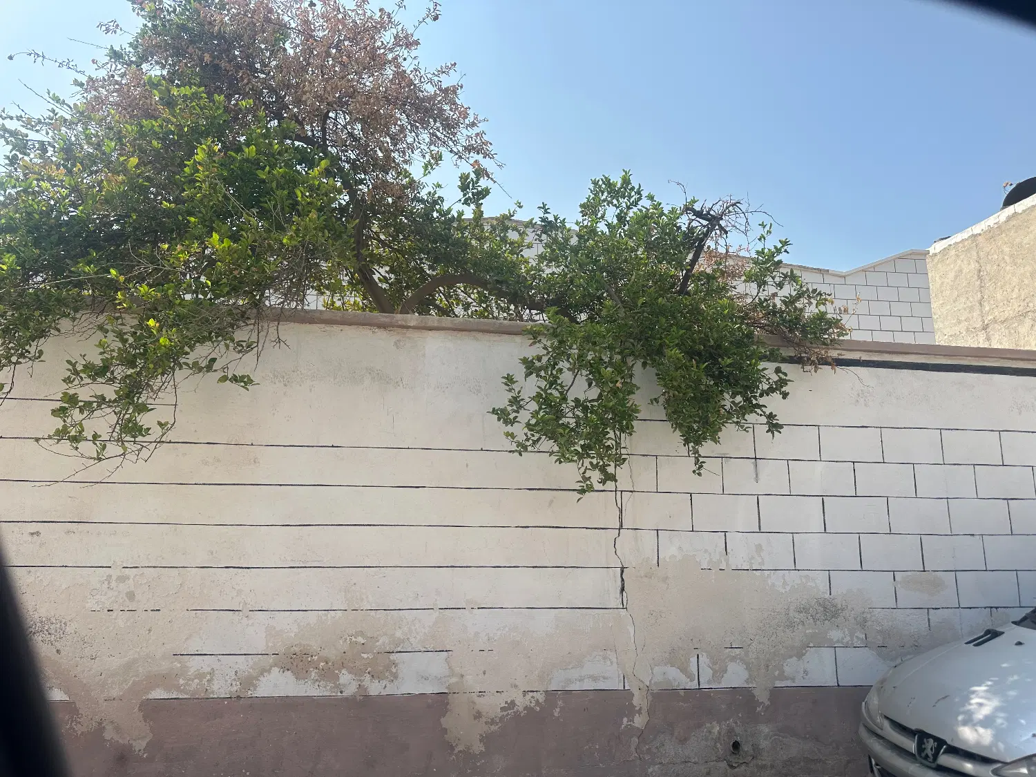 زمین 242متری در رایانی