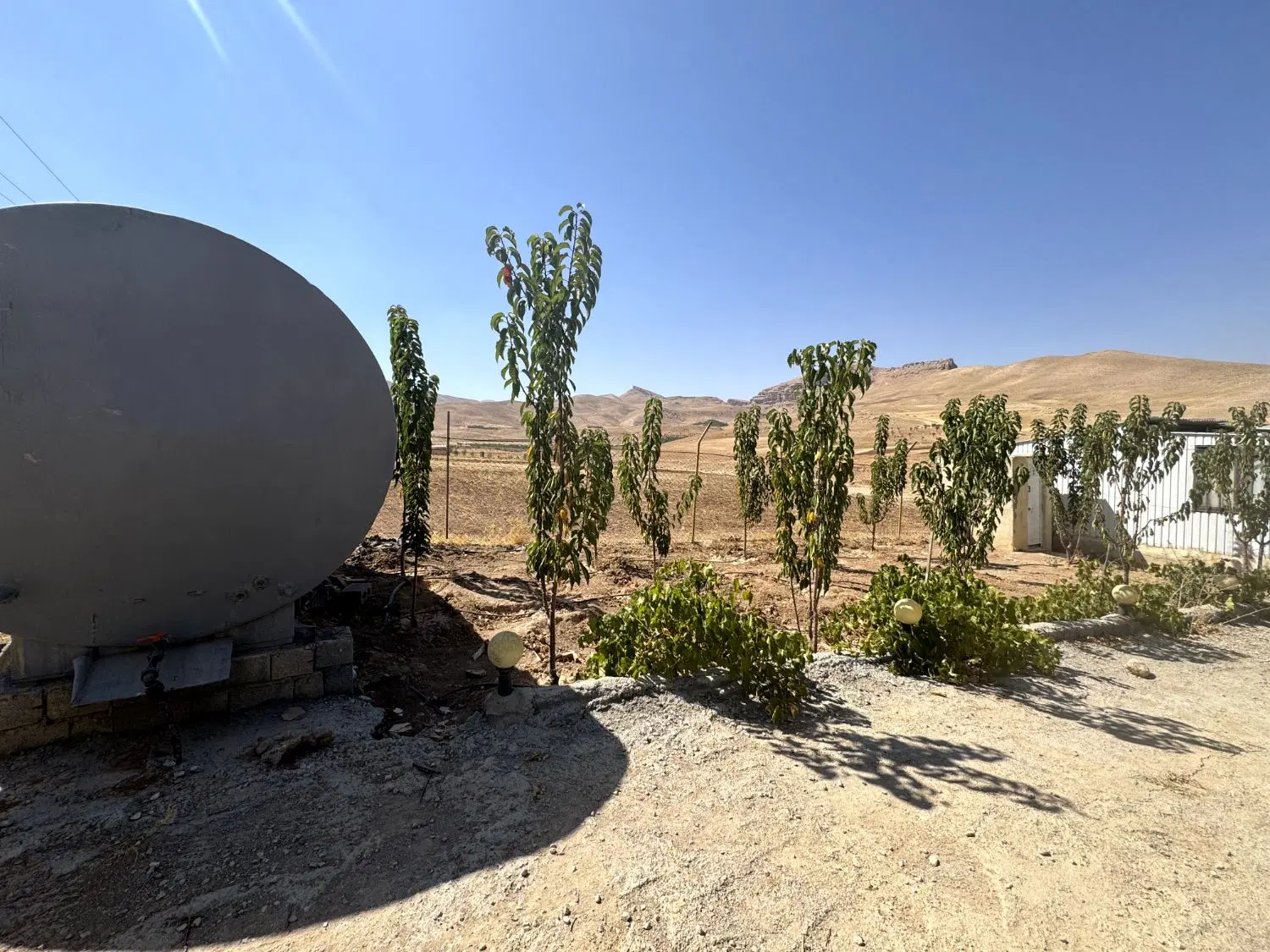 باغ هزارمتری گوجان جاده بیدکل