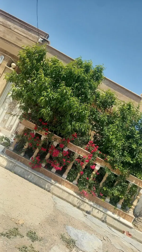 خانه ویلایی