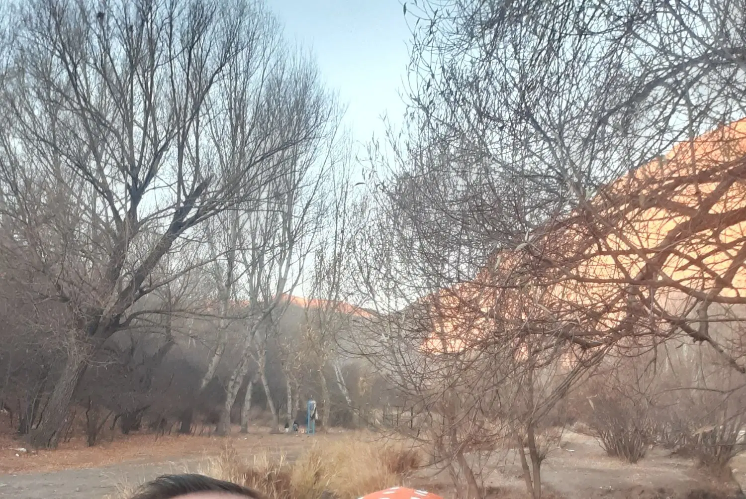 زمین زراعی شام اسبی به طرف گلی