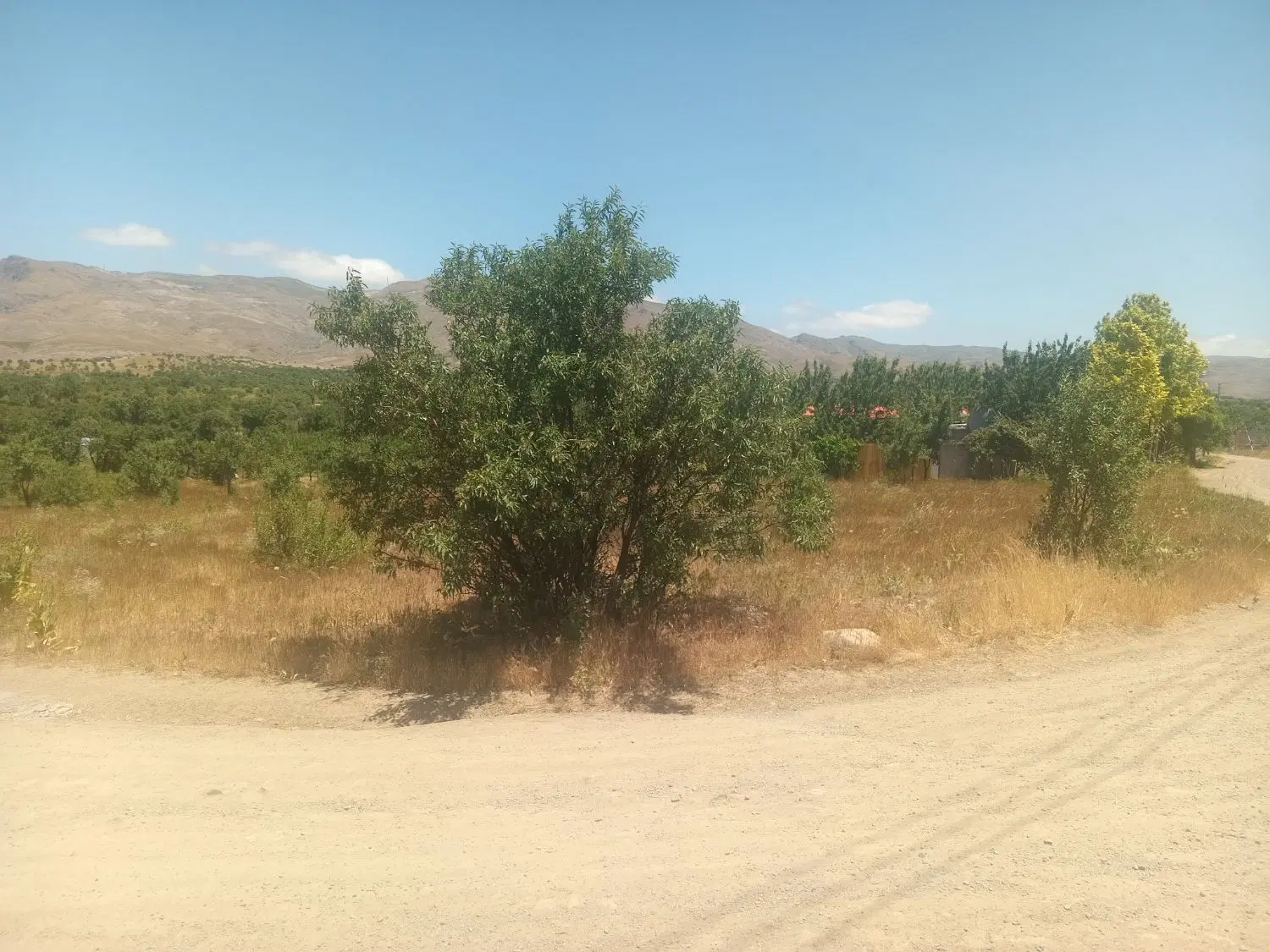 زمین ویلایی