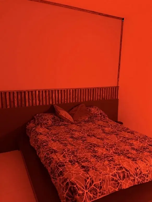 همخونه میشم