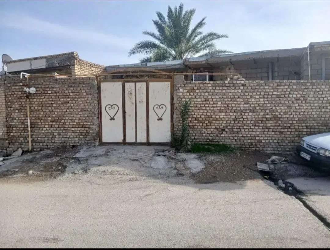 کوتشیخ