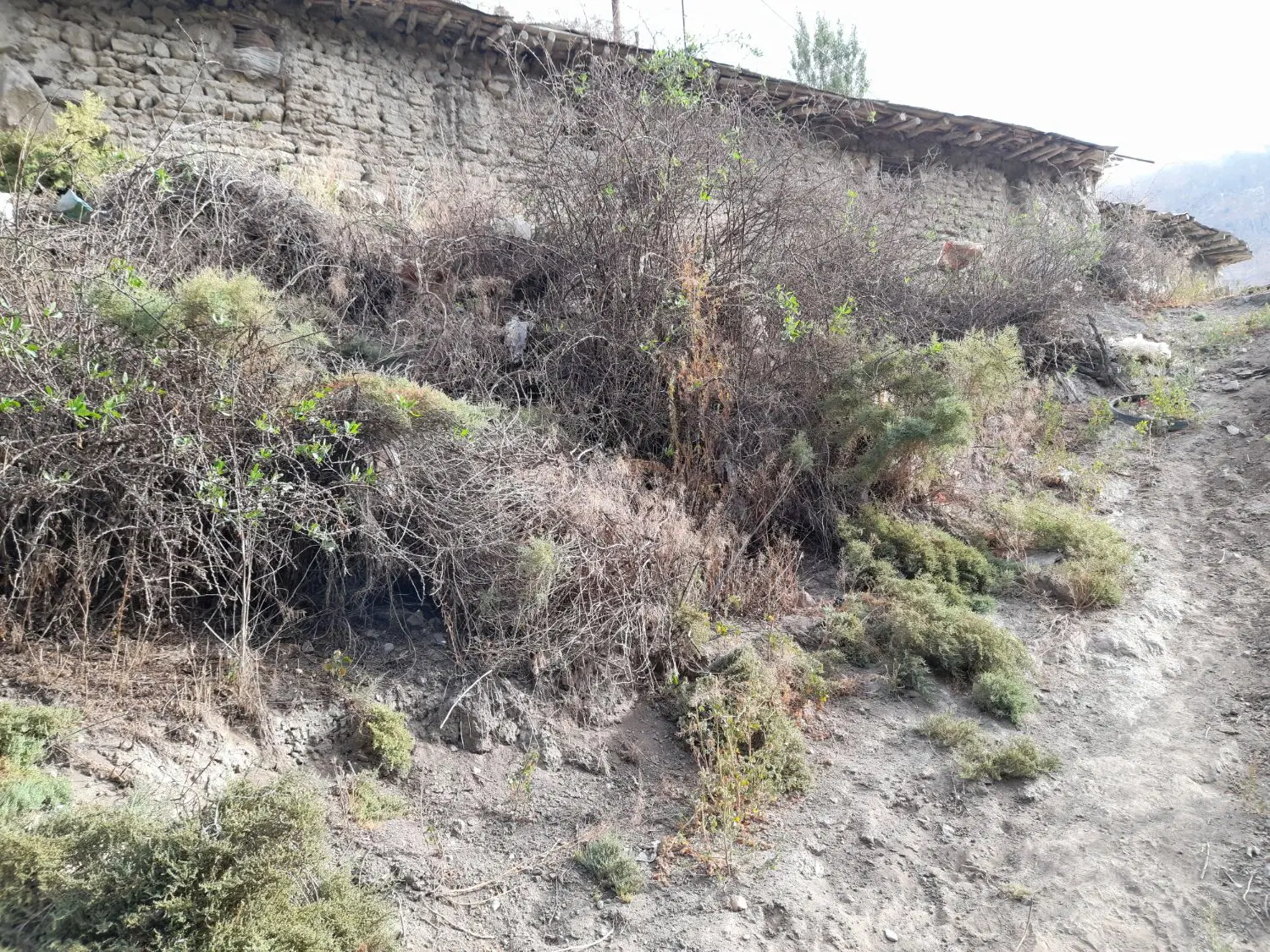 فروش زمین