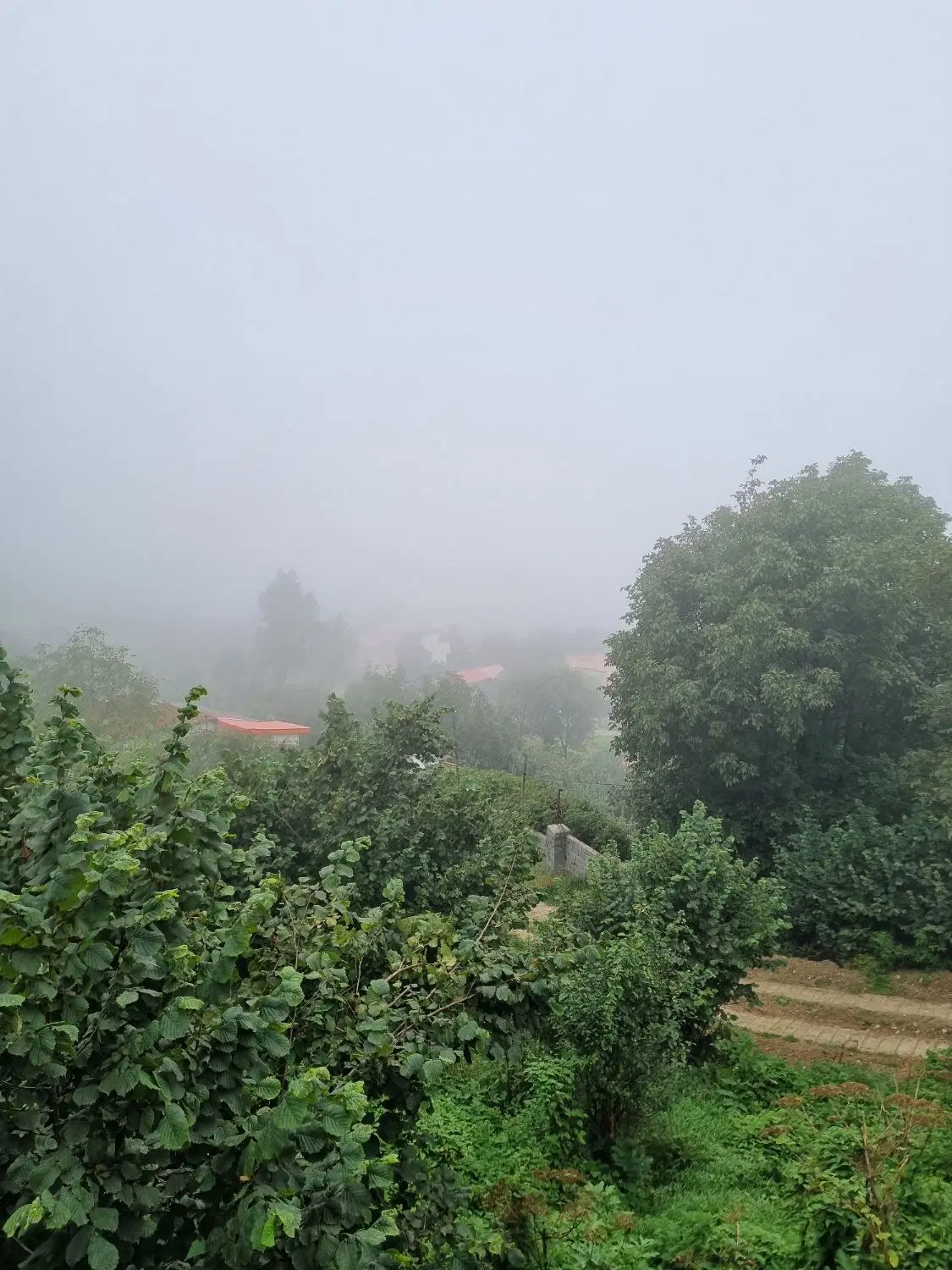 ۲۰۰۰ متر تازه اباد پشت بنگاه ضرونی