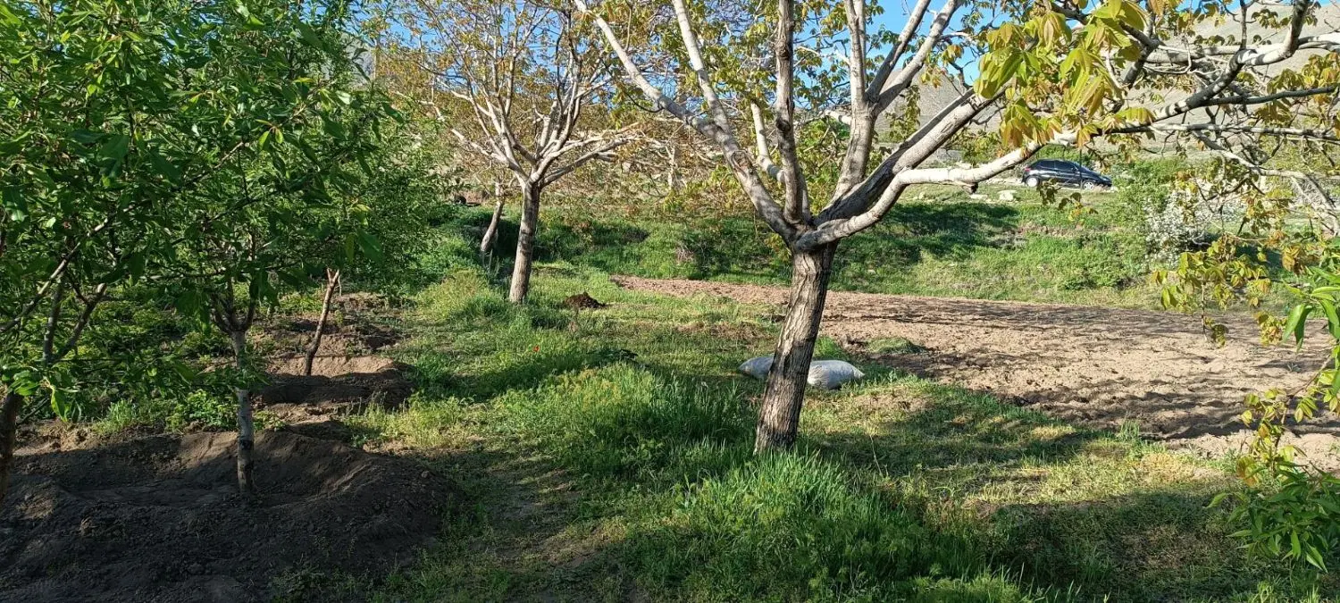 باغ در آذرشهر روستای قدمگاه (بادامیار)