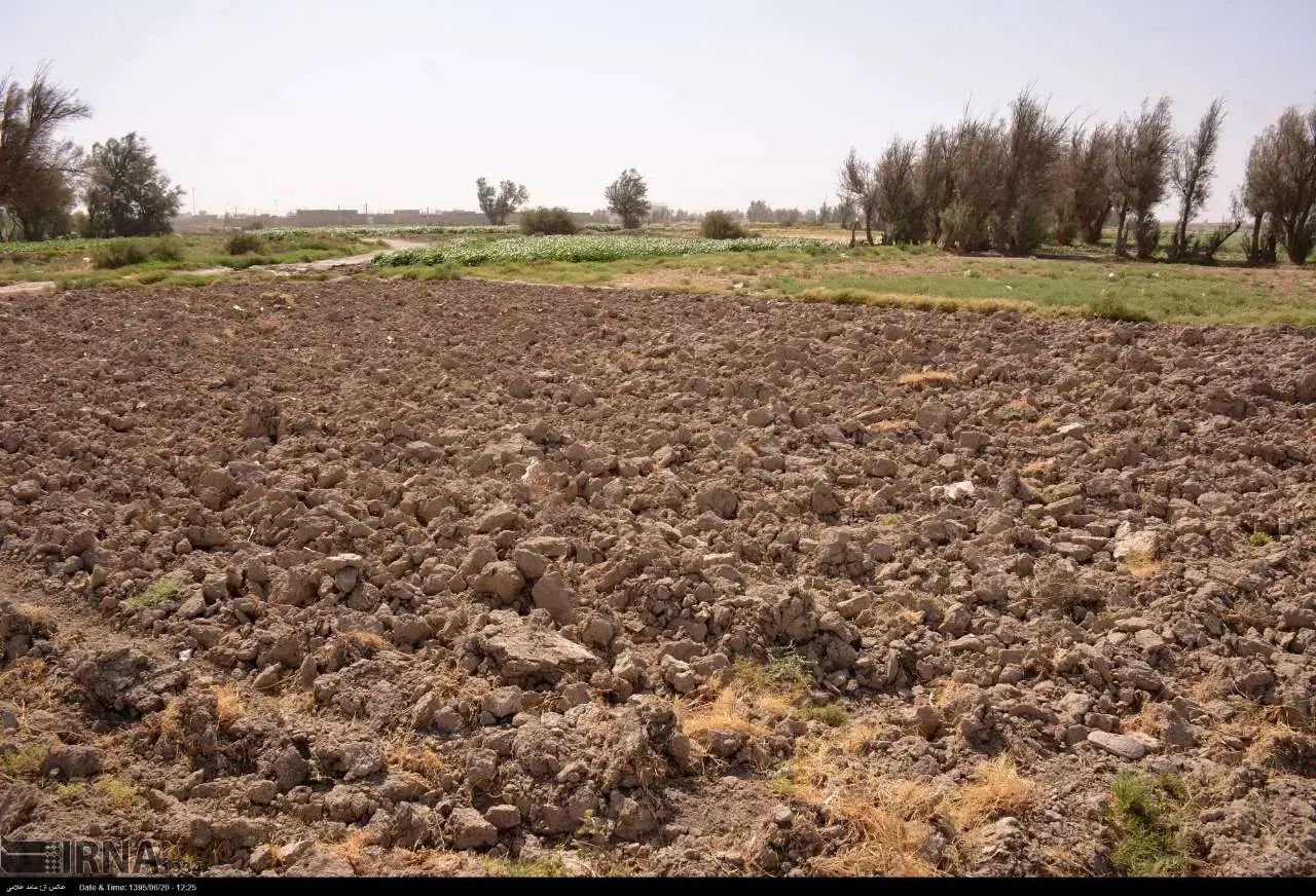 زمین مناسب دامداری .خانه باغ .گلخانه