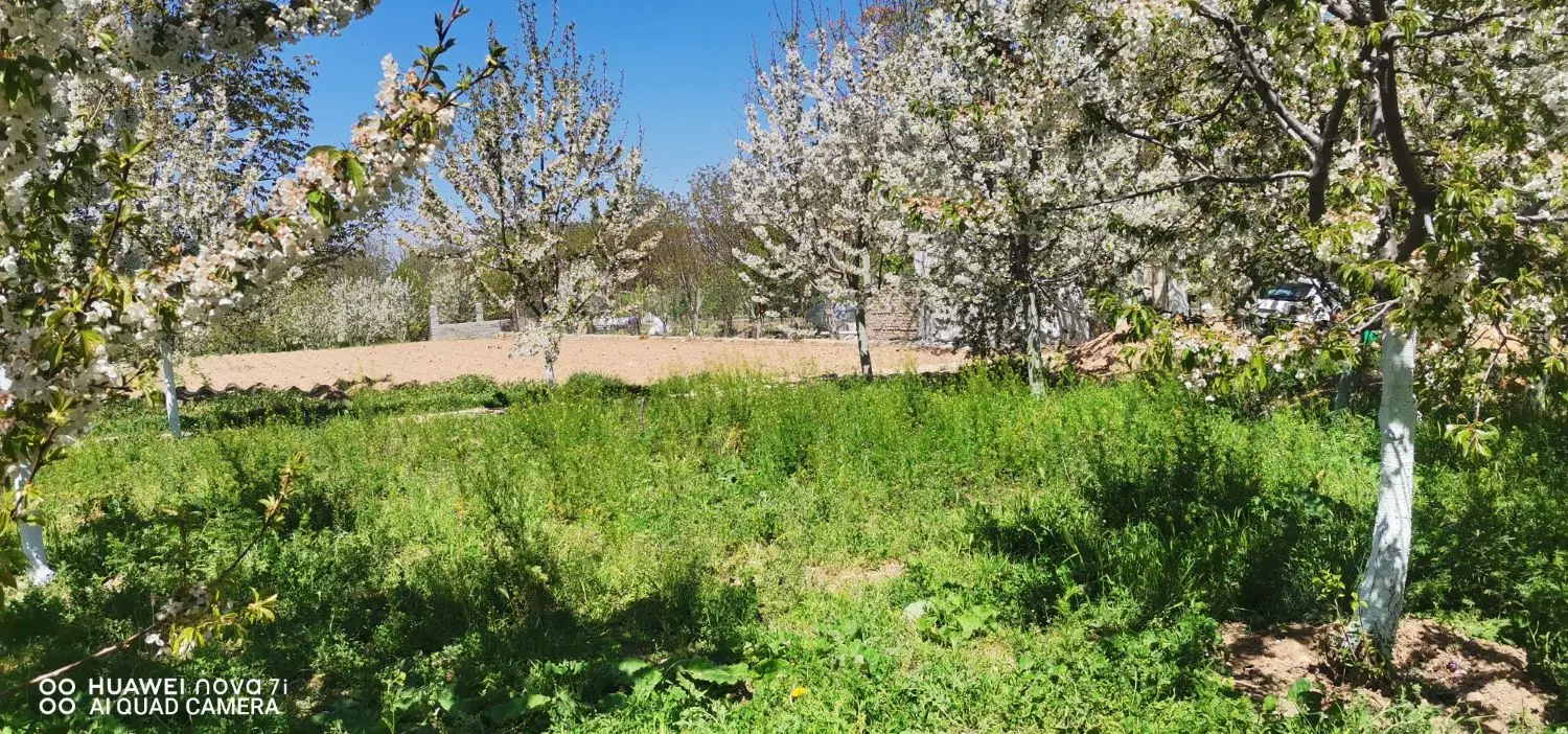 زمین خالی