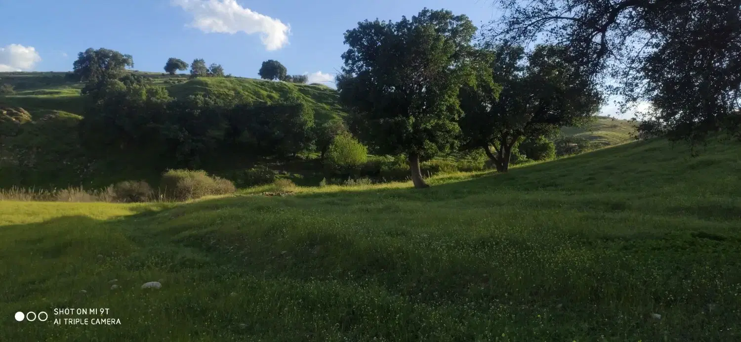 فروش زمین۶۵۰۰متر تجاری مسکونی
