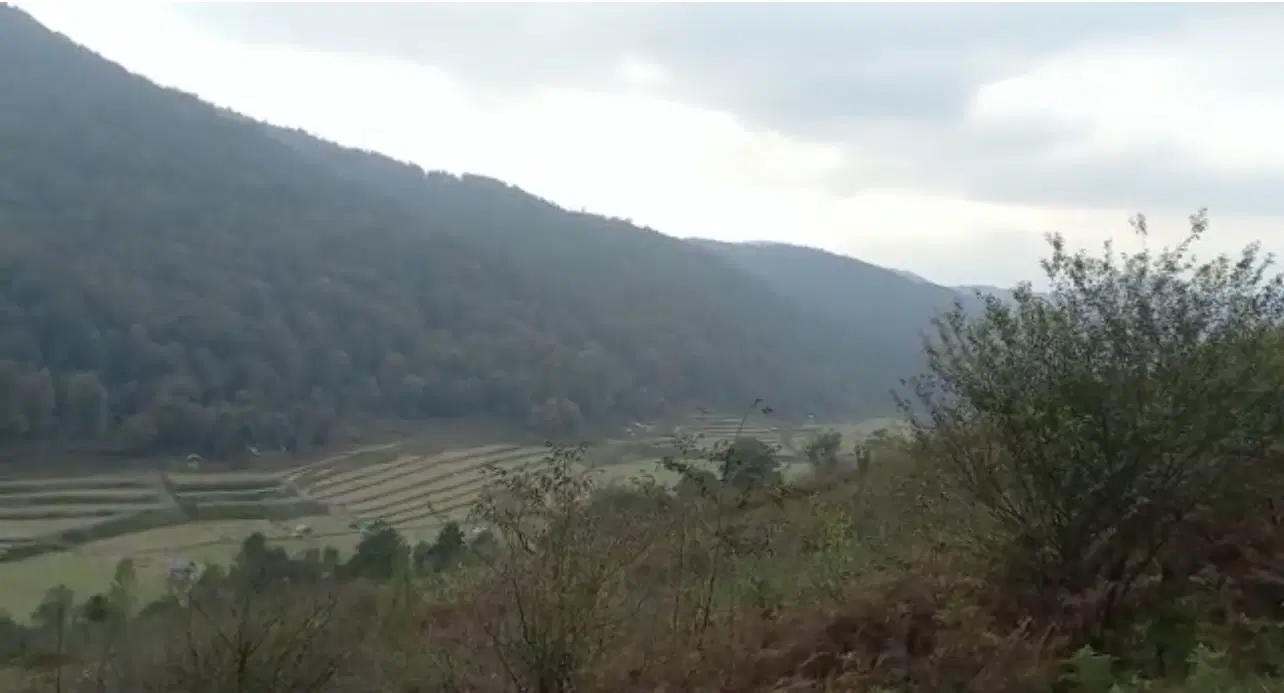 هزار متر زمین در سوادکوه