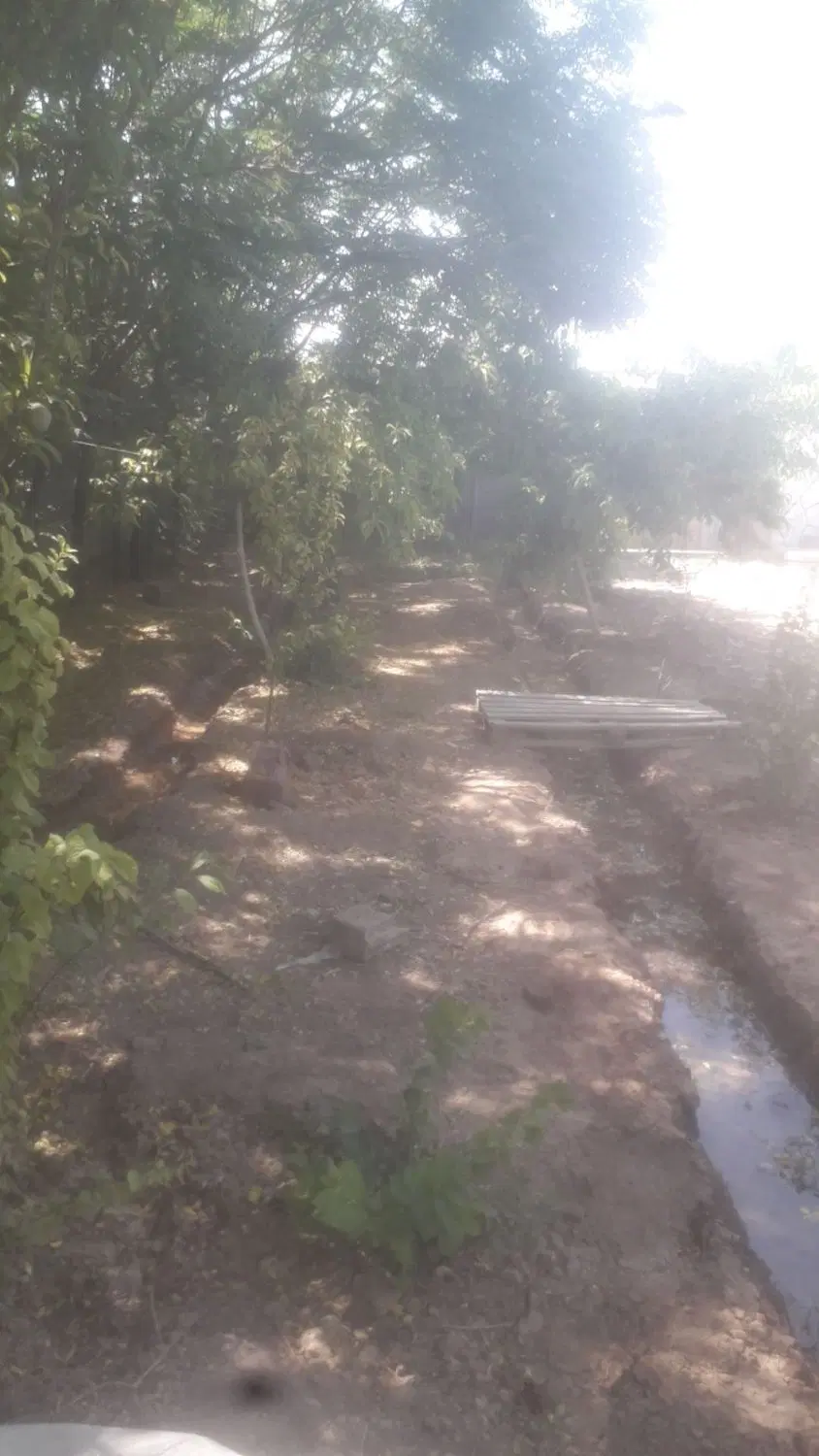 ۴۰۰ متر باغچه داخل شهرک