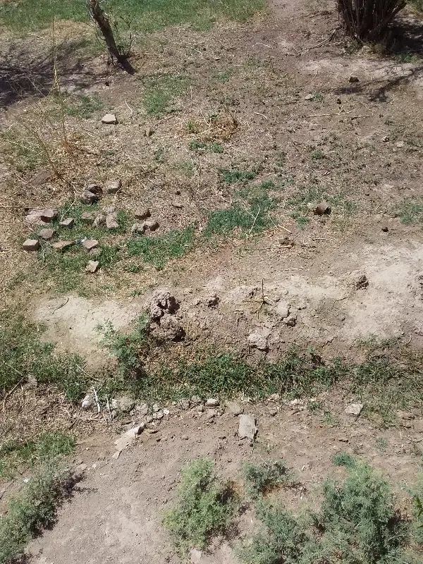 زمین عسکریه فروشی