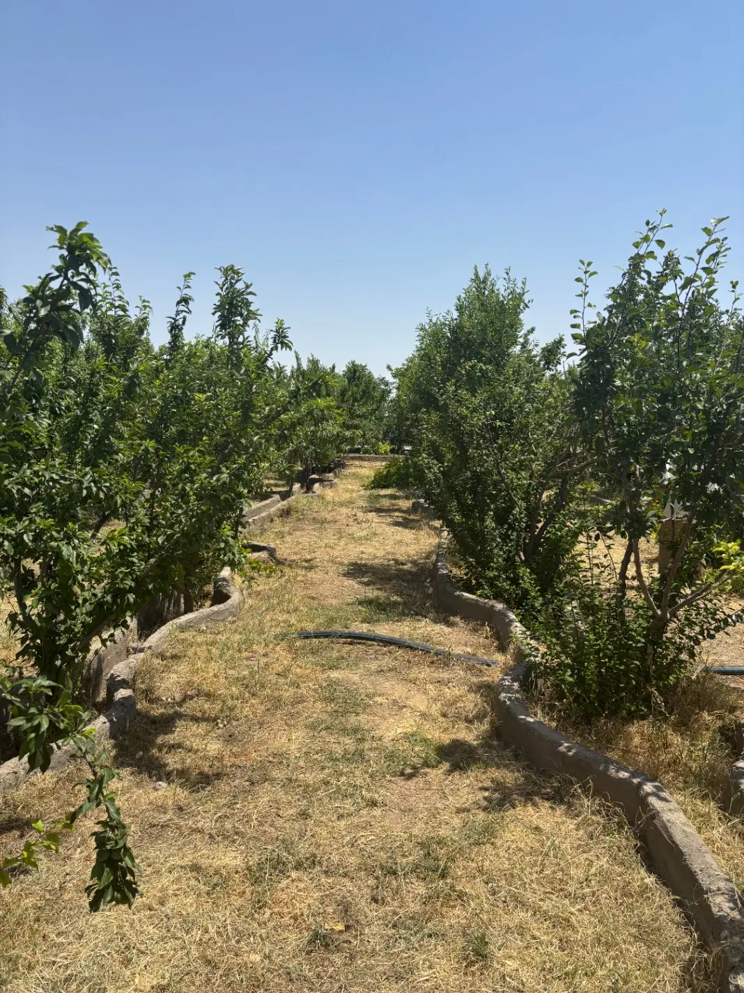 باغچه سند دار متراژ مختلف