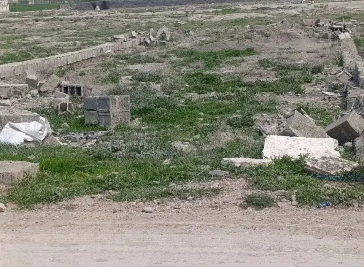 زمین پردیس 4