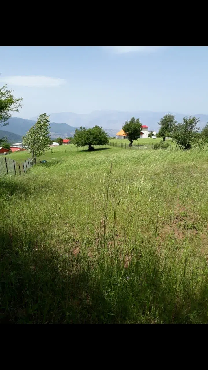 زمین مسکونی به مساحت1300متر واقع در روستای پسطالکو