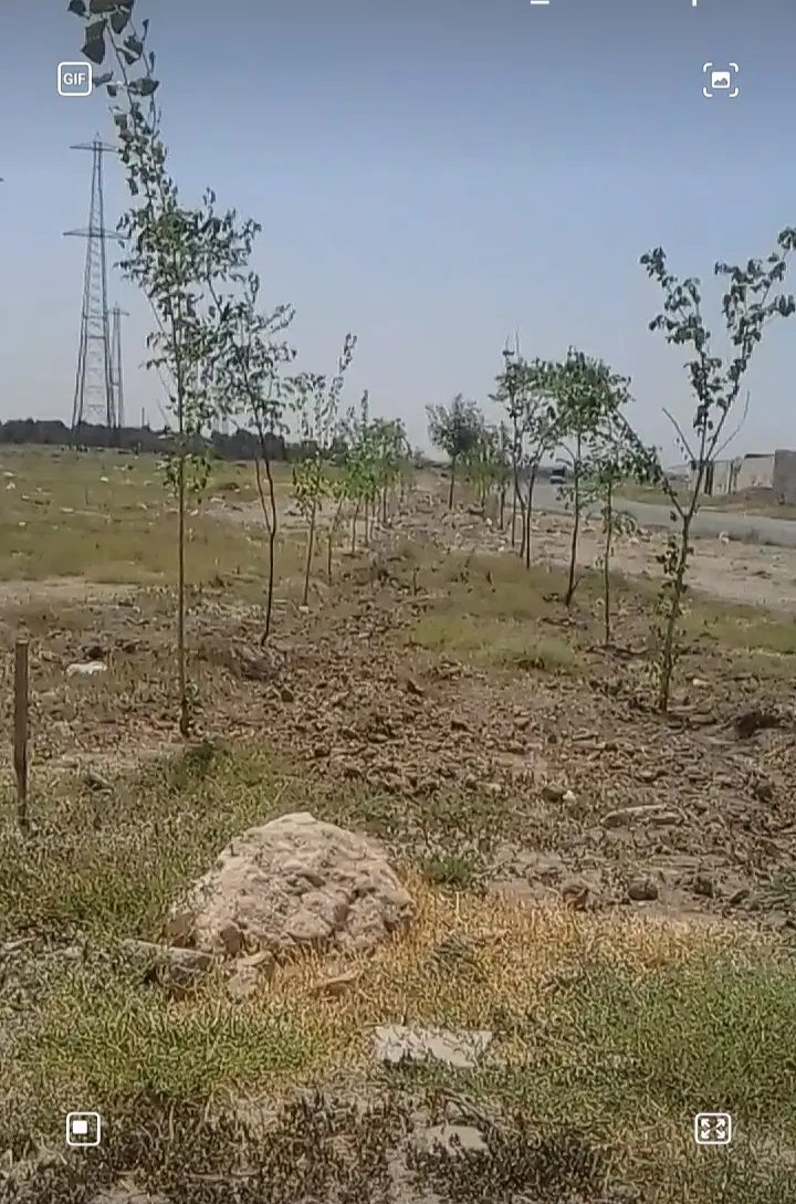 زمین به مساحت ۴۵۰ متر