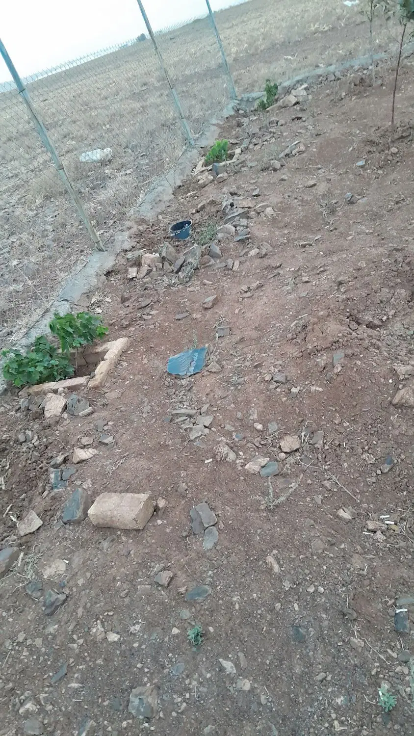زمین باغی ویلایی