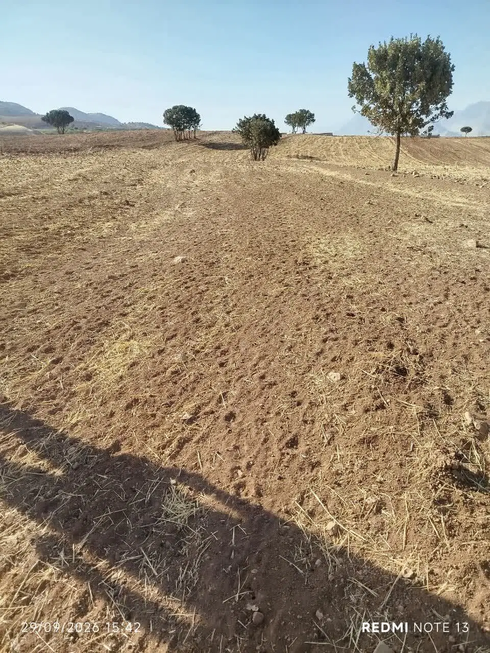 زمین کشاورزی