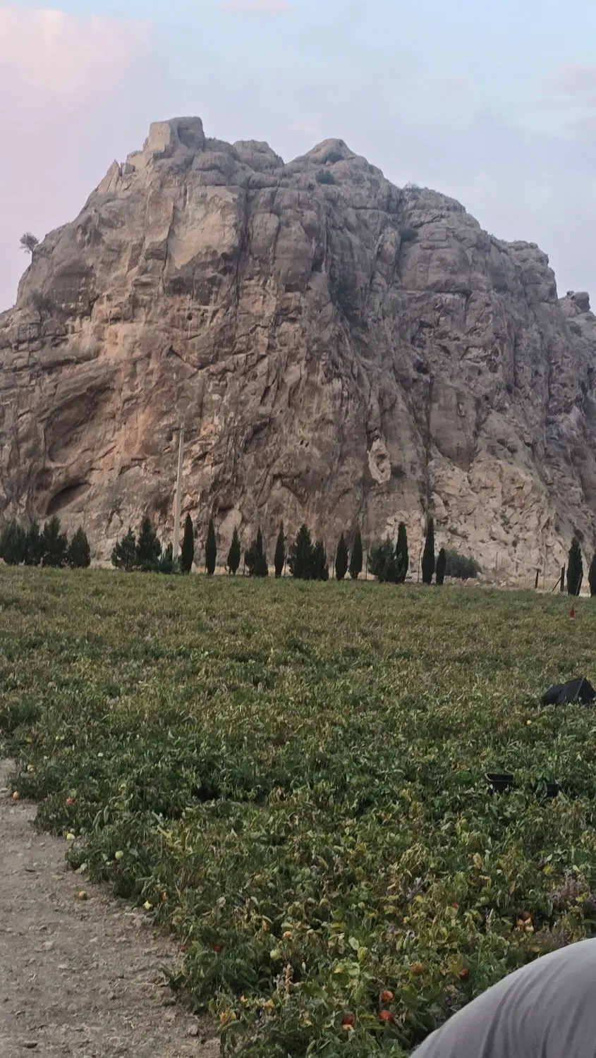 فروش زمین باغشهرها قلات