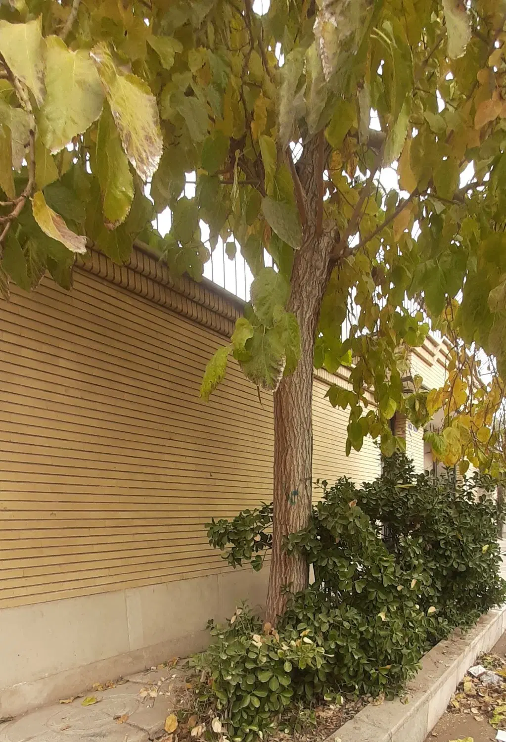 ویلایی مناسب سکونت و ساخت معاوضه با اپارتمان